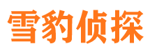 茂南外遇调查取证